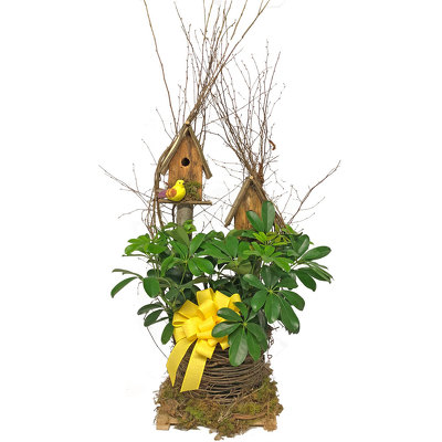 Double Birdhouse  from your local Clinton,TN florist, Knight's Flowers